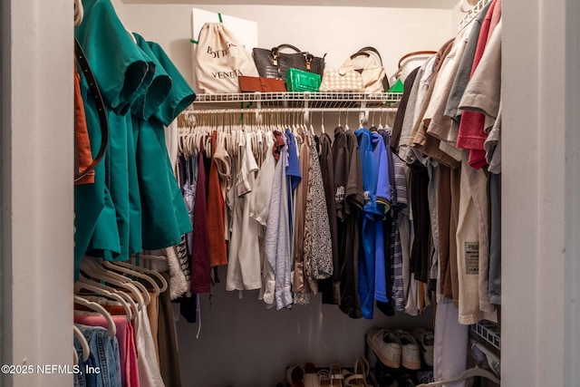 view of spacious closet