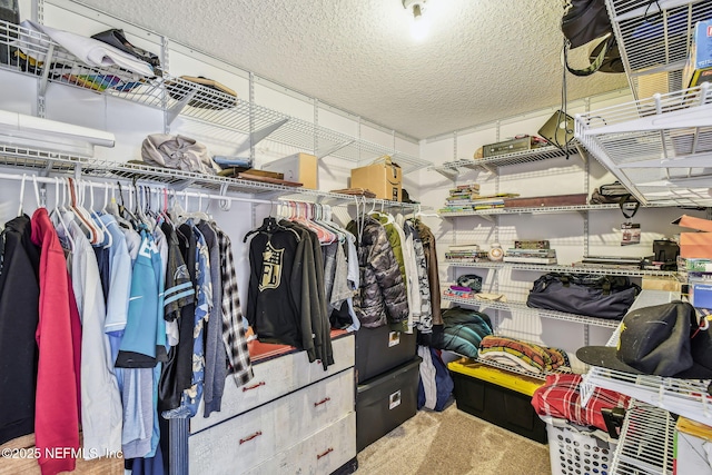 spacious closet with carpet floors