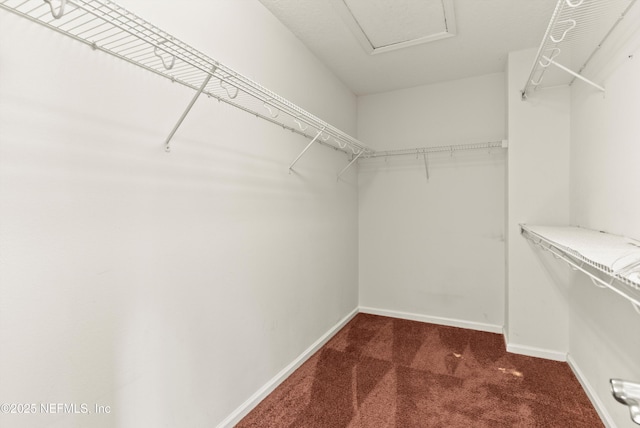 walk in closet with carpet floors and attic access