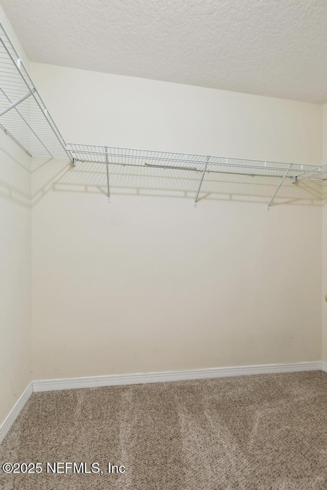 walk in closet featuring carpet floors