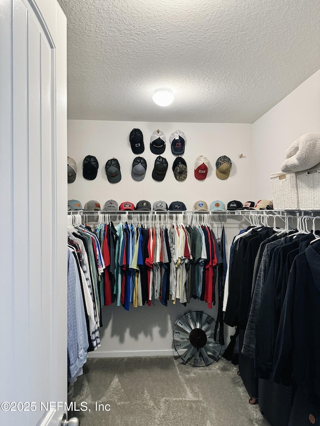 spacious closet featuring carpet floors