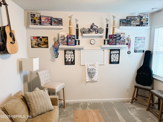 living area featuring carpet, a healthy amount of sunlight, a textured ceiling, and baseboards