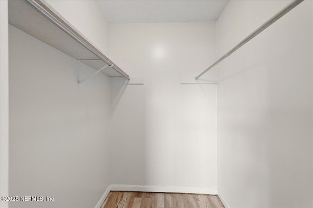 spacious closet featuring light wood finished floors