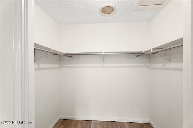 spacious closet featuring wood finished floors