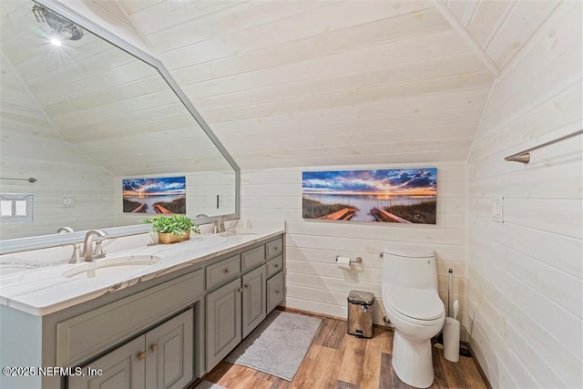 bathroom with toilet, wood finished floors, lofted ceiling, and a sink