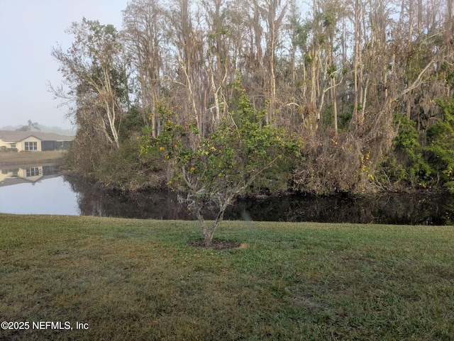 view of yard with a water view