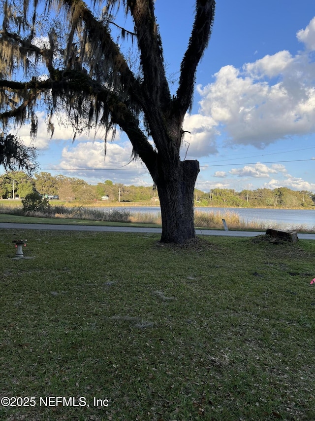 716 Grand Rondo W, Crescent City, FL 32112 - view of grassy yard with a water view