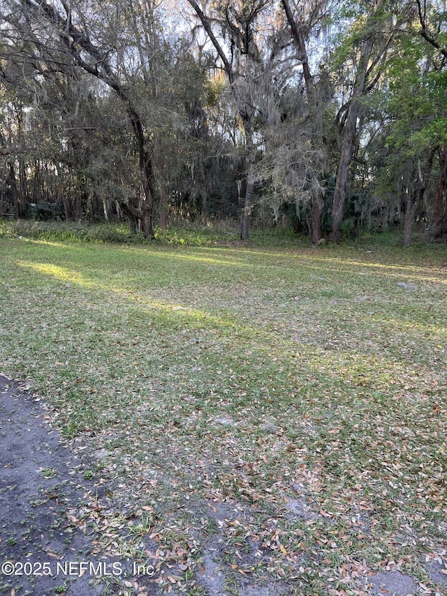 716 Grand Rondo W, Crescent City, FL 32112 - view of yard