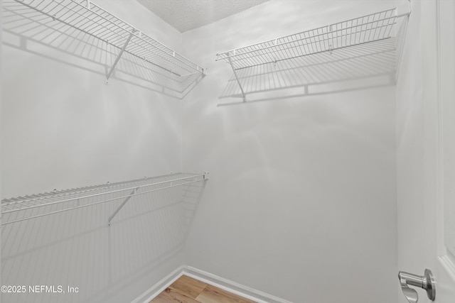 walk in closet with wood finished floors