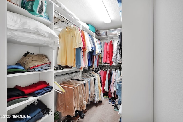 spacious closet featuring carpet floors