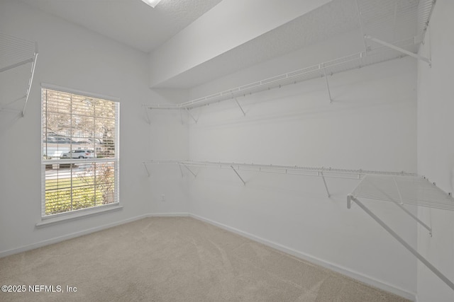 walk in closet featuring light carpet