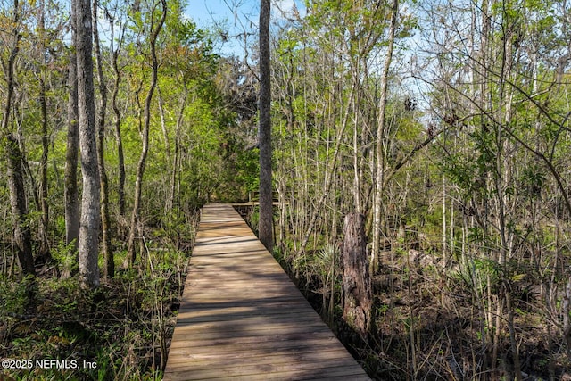 surrounding community featuring a dock and a view of trees