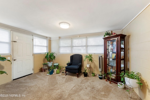 living area with carpet floors and concrete block wall