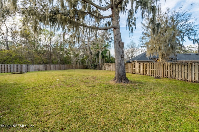 view of yard featuring a fenced backyard