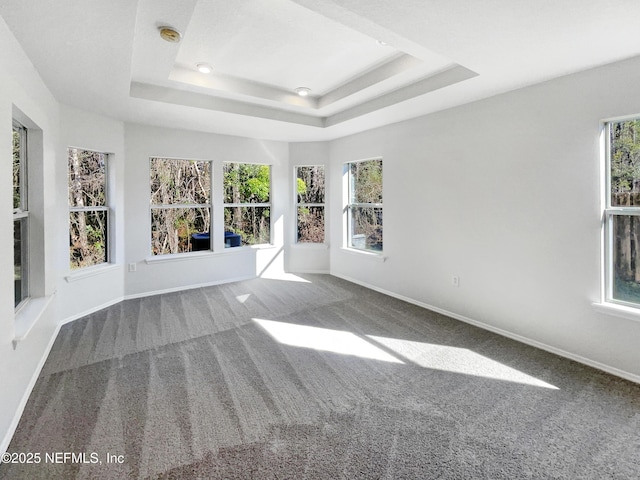 unfurnished sunroom with a tray ceiling