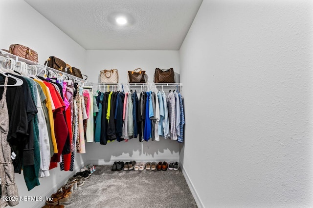 walk in closet featuring carpet