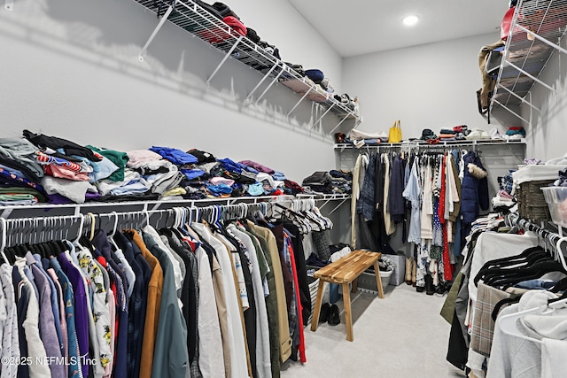 spacious closet featuring carpet