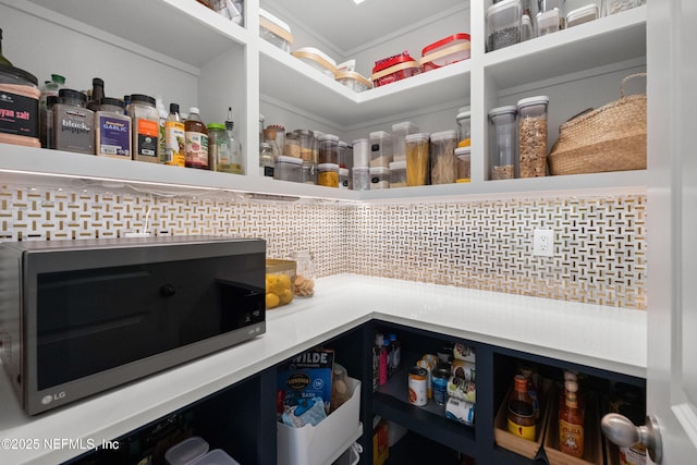 230 Marquesa Cir, Saint Johns, FL 32259 - view of pantry