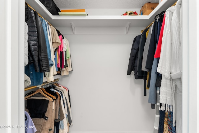 230 Marquesa Cir, Saint Johns, FL 32259 - view of walk in closet