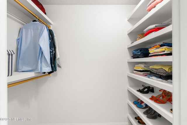 230 Marquesa Cir, Saint Johns, FL 32259 - view of walk in closet