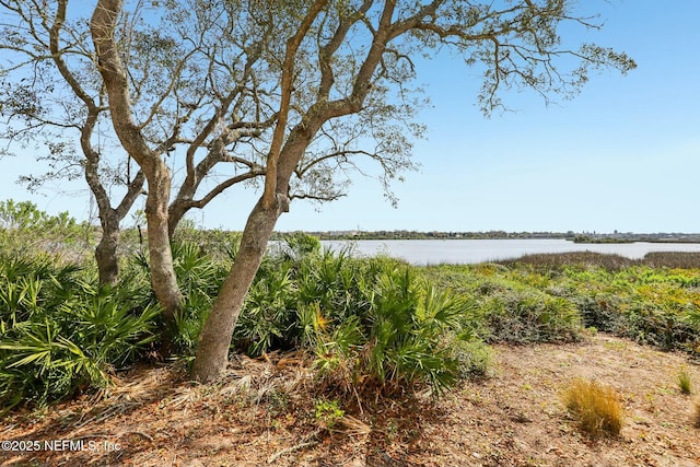 view of landscape with a water view