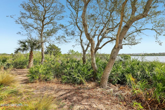 view of landscape with a water view