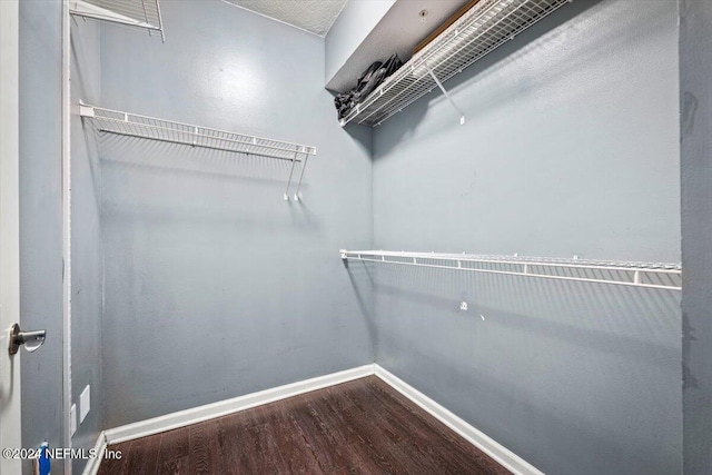 walk in closet featuring wood finished floors