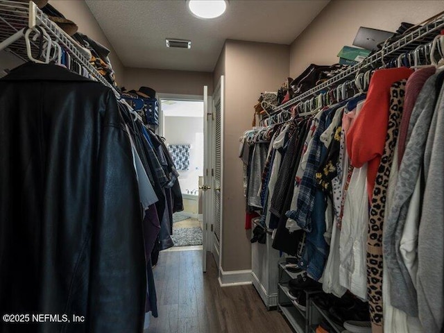 spacious closet featuring dark wood-style flooring