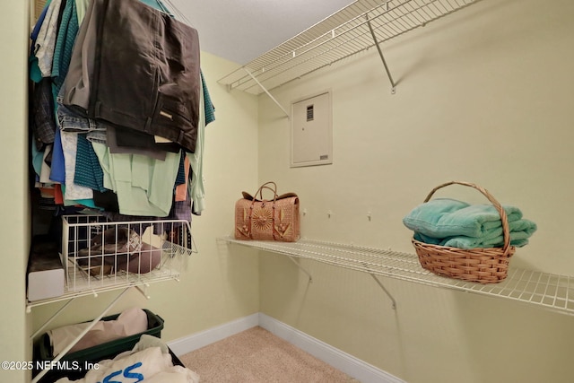 spacious closet with carpet floors and electric panel