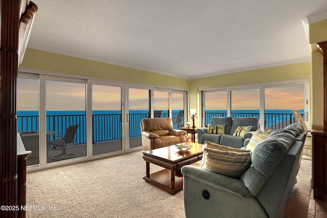 carpeted living area with a water view and crown molding