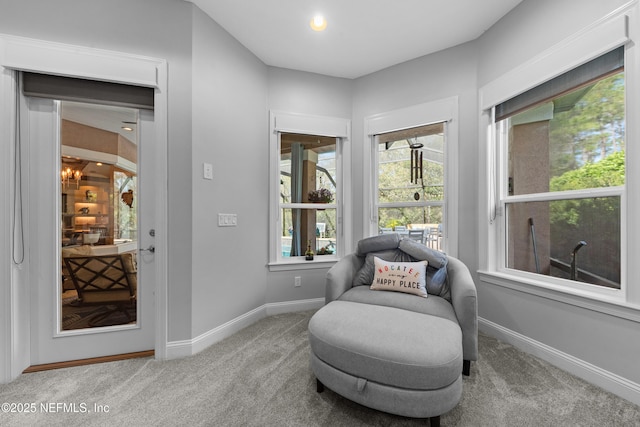 living area featuring baseboards and carpet flooring