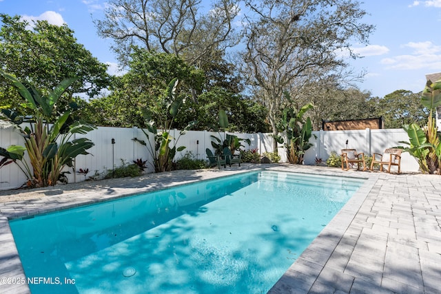 view of swimming pool featuring a patio area, a fenced in pool, and a fenced backyard