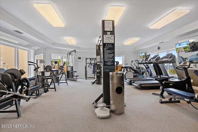 workout area featuring light colored carpet, visible vents, and crown molding