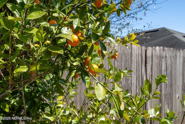 exterior details with fence