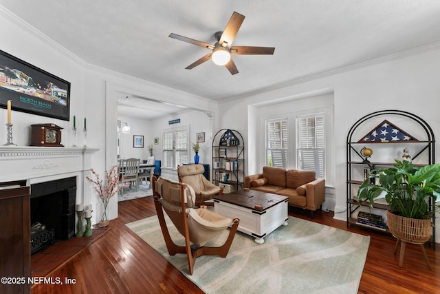 living room featuring ceiling fan, ornamental molding, a fireplace, and wood finished floors