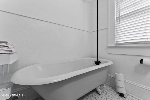 full bathroom featuring a freestanding bath