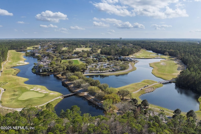 bird's eye view featuring a water view and a view of trees