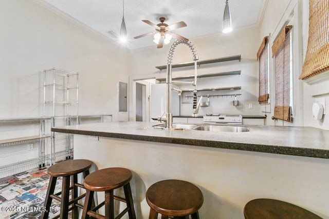 kitchen featuring crown molding, a breakfast bar area, a ceiling fan, freestanding refrigerator, and a sink