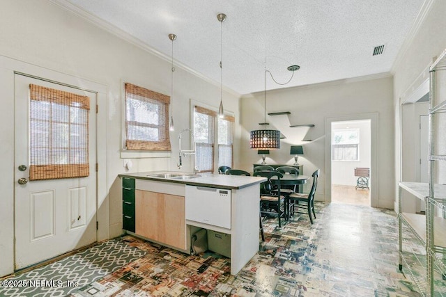 kitchen with a wealth of natural light, a sink, visible vents, and crown molding