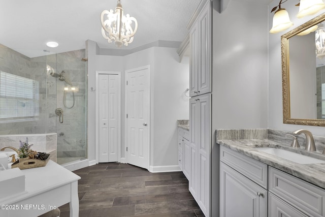 bathroom featuring wood finish floors, a closet, two vanities, a sink, and a shower stall