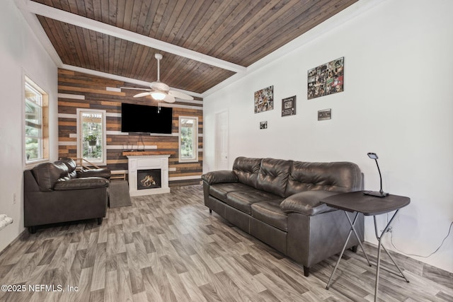 living area with a ceiling fan, wood ceiling, wood walls, wood finished floors, and a lit fireplace