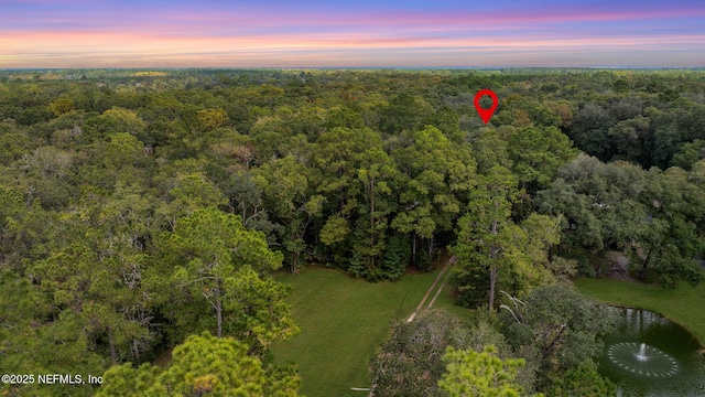 bird's eye view with a water view and a forest view