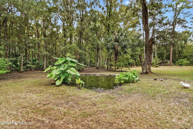 view of yard with a water view