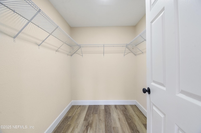 walk in closet featuring wood finished floors