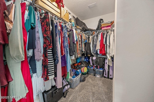 spacious closet with carpet flooring