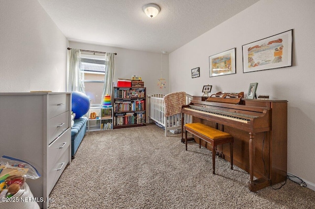 sitting room featuring carpet floors and a textured ceiling