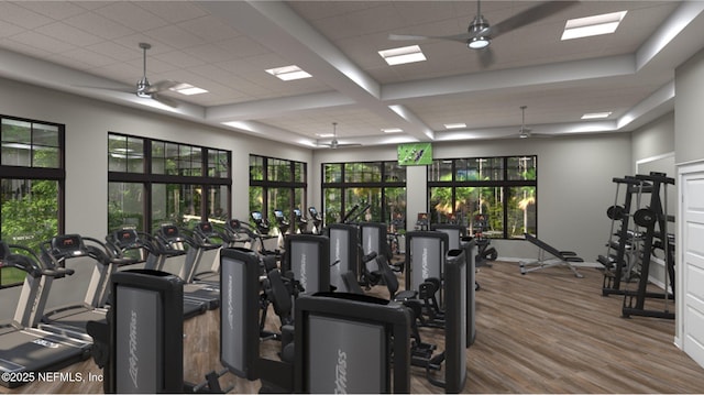 gym with a ceiling fan, a paneled ceiling, baseboards, and wood finished floors