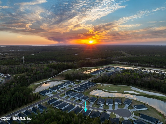 bird's eye view featuring a forest view and a water view