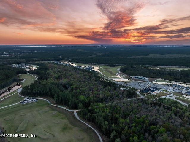 aerial view with a view of trees