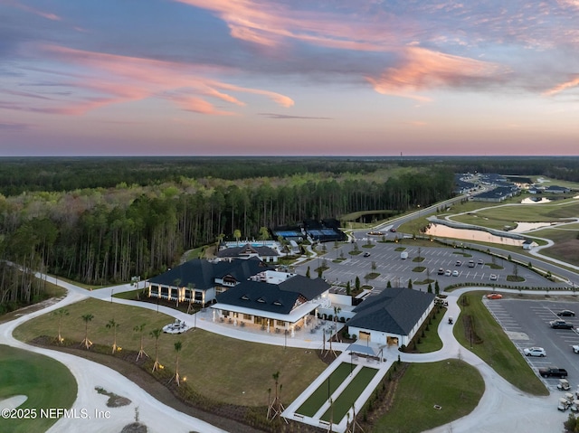 aerial view at dusk with a view of trees